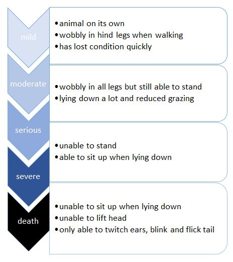 progresive signs of tick paralysis