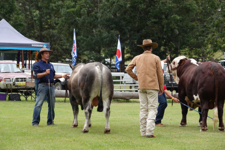 Mullumbimby Show 2019