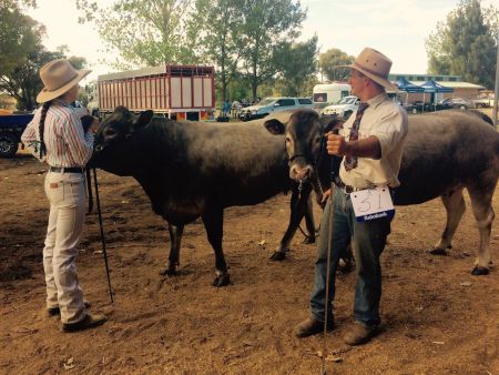 Armidale Show 2019