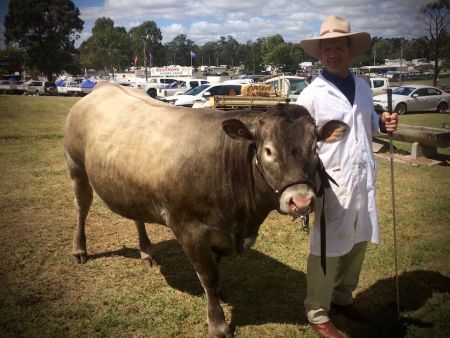 Warwick Show 2018