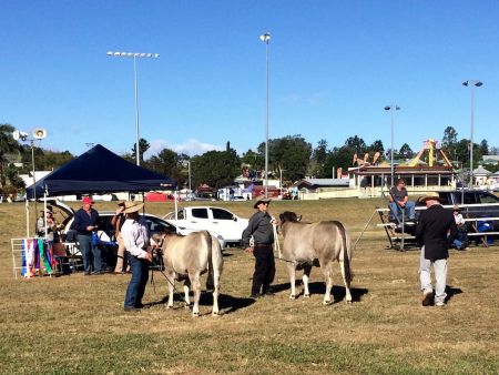 Boonah Show 2017 b