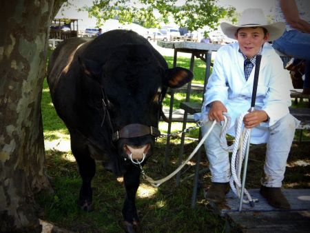 thumb Dorrigo show 2017