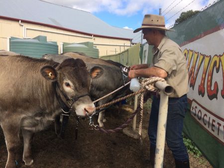 Ipswich Show 2017 b