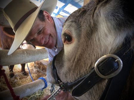 Warwick Show 2017 a