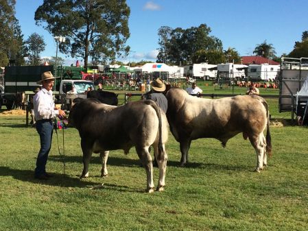 beaudesert-show-2016